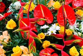 La excelencia en cada detalle